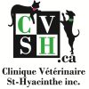 Logo_CVSHinc